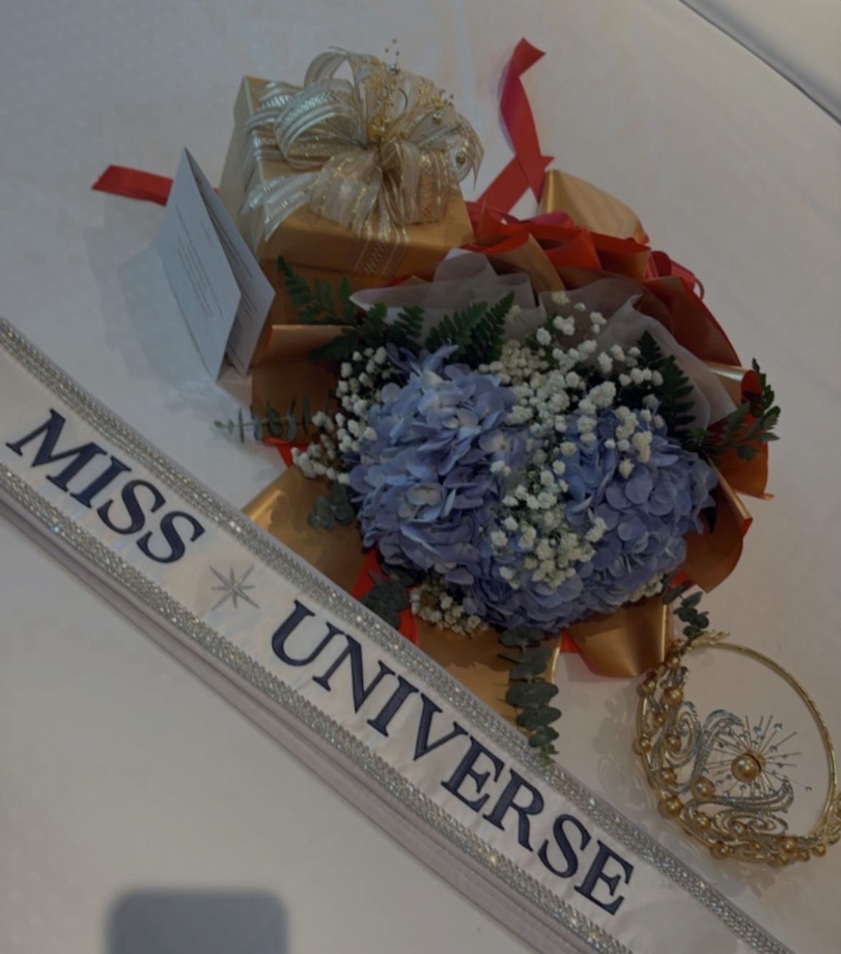 Miss Universo, Fátima Bosch