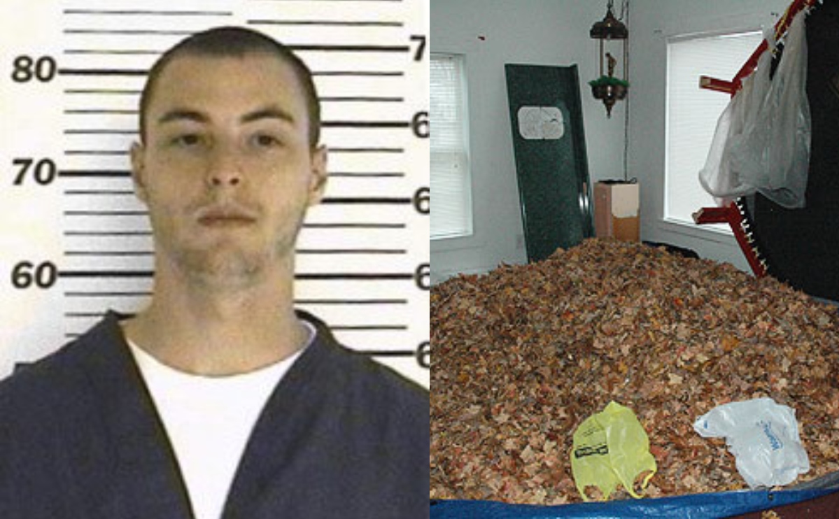 Matthew Hoffman, Apple Valley Monster, Crimes of the Beyond, QuéOnnda