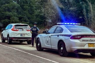 Multas de tránsito en EEUU, multas, tickets, policía, QuéOnnda