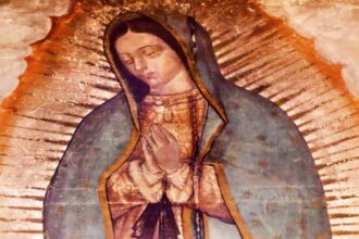 tilma pigments, Juan Diego tilma, Virgin of Guadalupe, Virgin of Guadalupe tilma, QuéOnnda