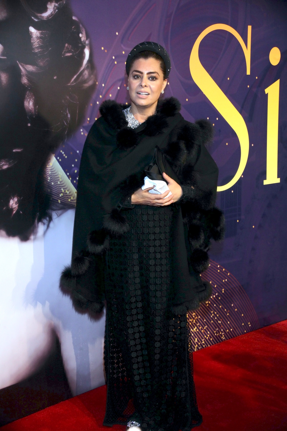 Yadhira Carrillo, televisión