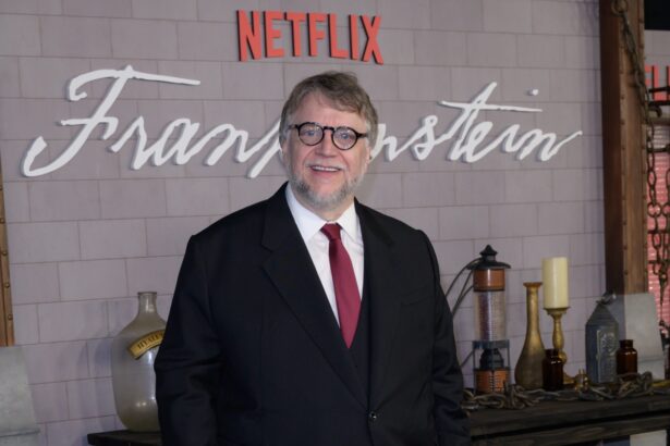 Guillermo del Toro, cine