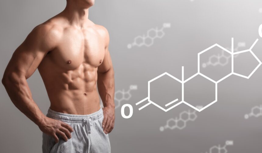 regulate testosterone, testosterone, hormone, hormone therapy, Men, QuéOnnda