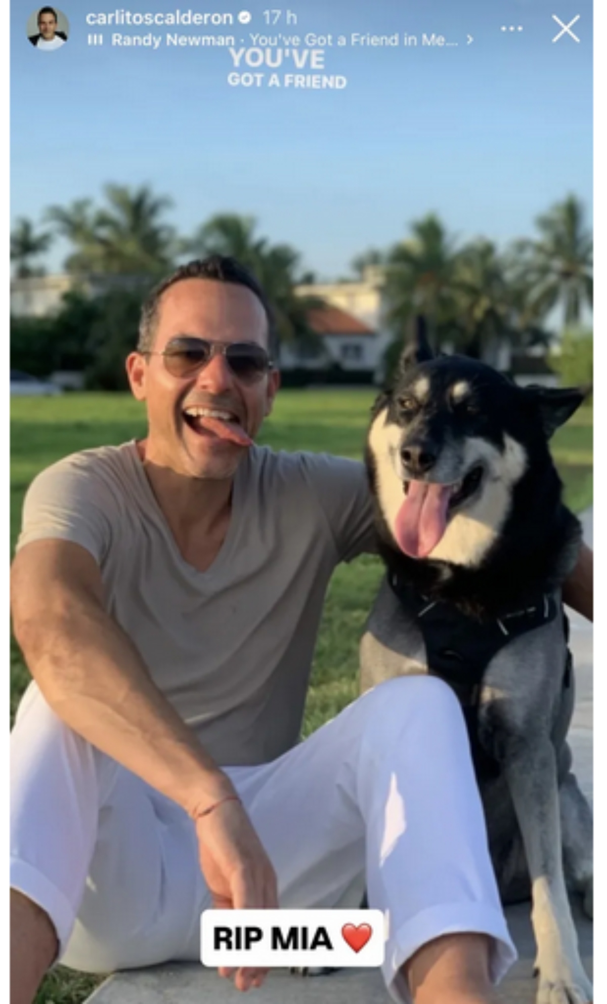 Carlos Calderón, famosos, televisión