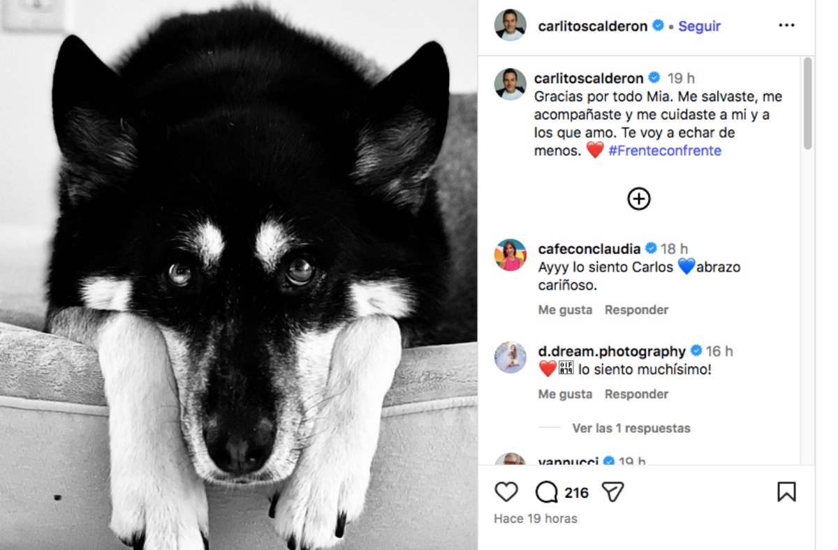 Carlos Calderón, famosos, televisión