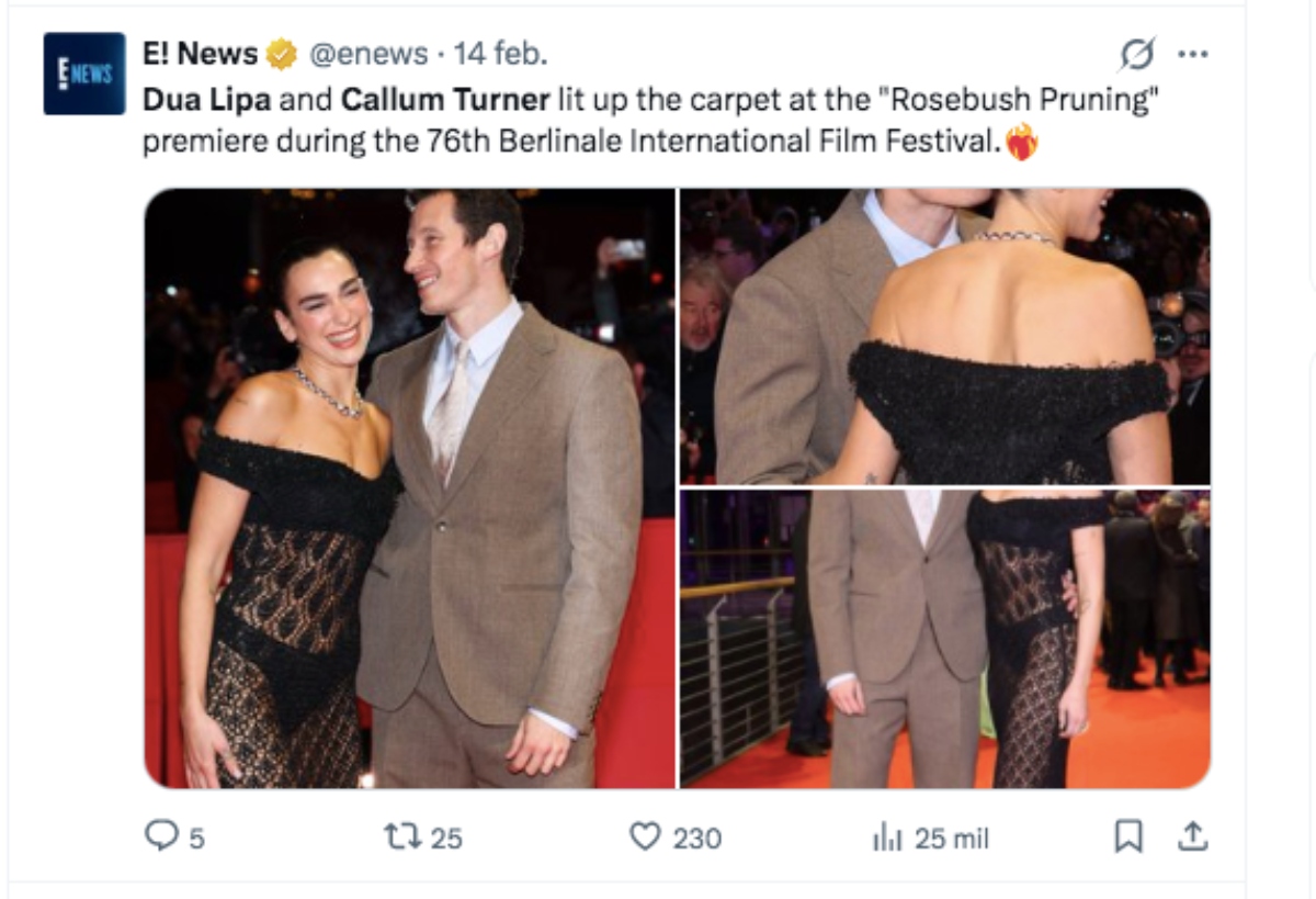 Dua Lipa, Callum Turner red carpet