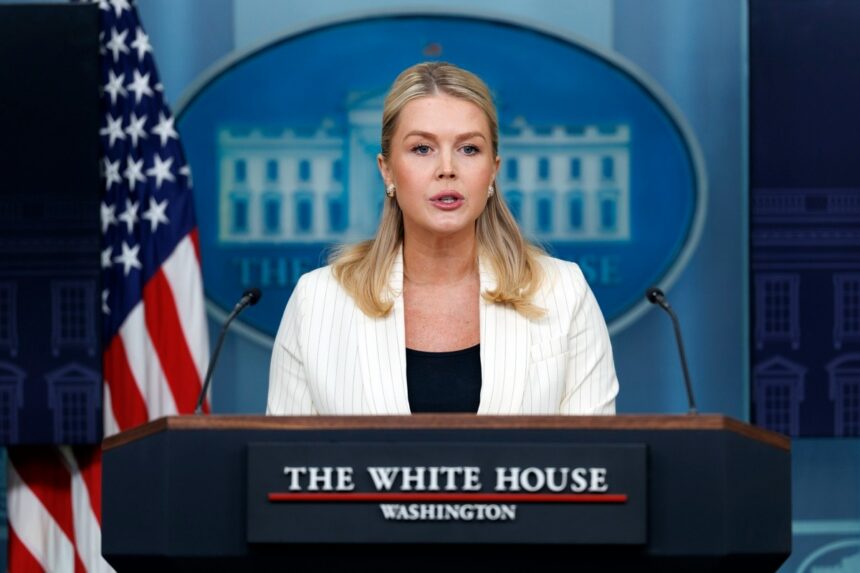 United States, Mexican cartels, Karoline Leavitt, Karoline Leavitt