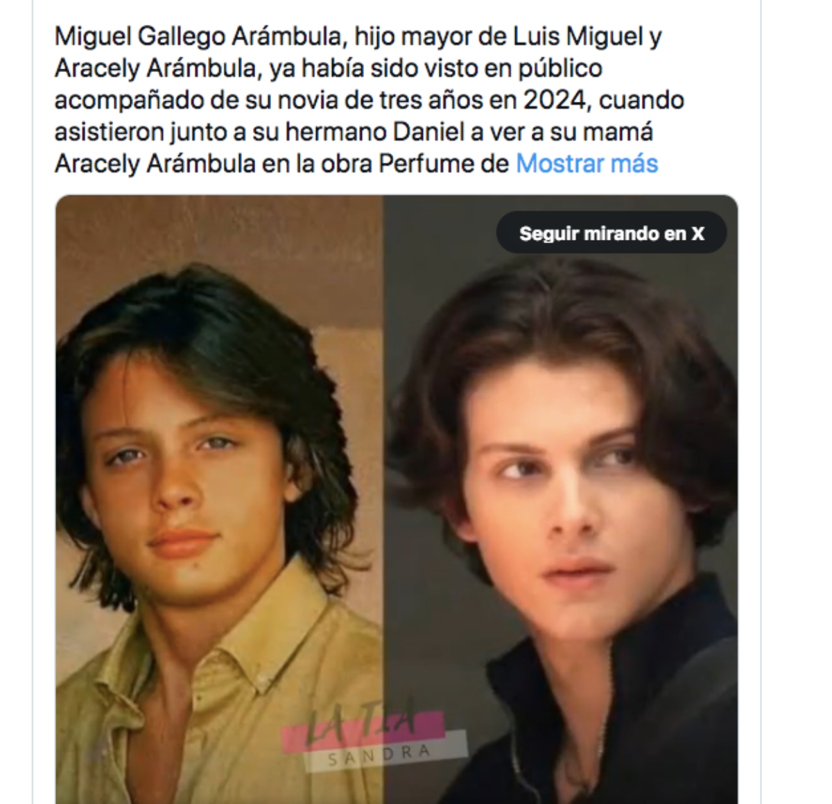 Son Luis Miguel and Aracely Arámbula girlfriend