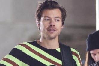 Harry Styles concierto por Netflix