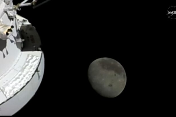 Artemis II órbita lunar, Artemis II, órbita lunar, cápsula Orión, NASA, QuéOnnda