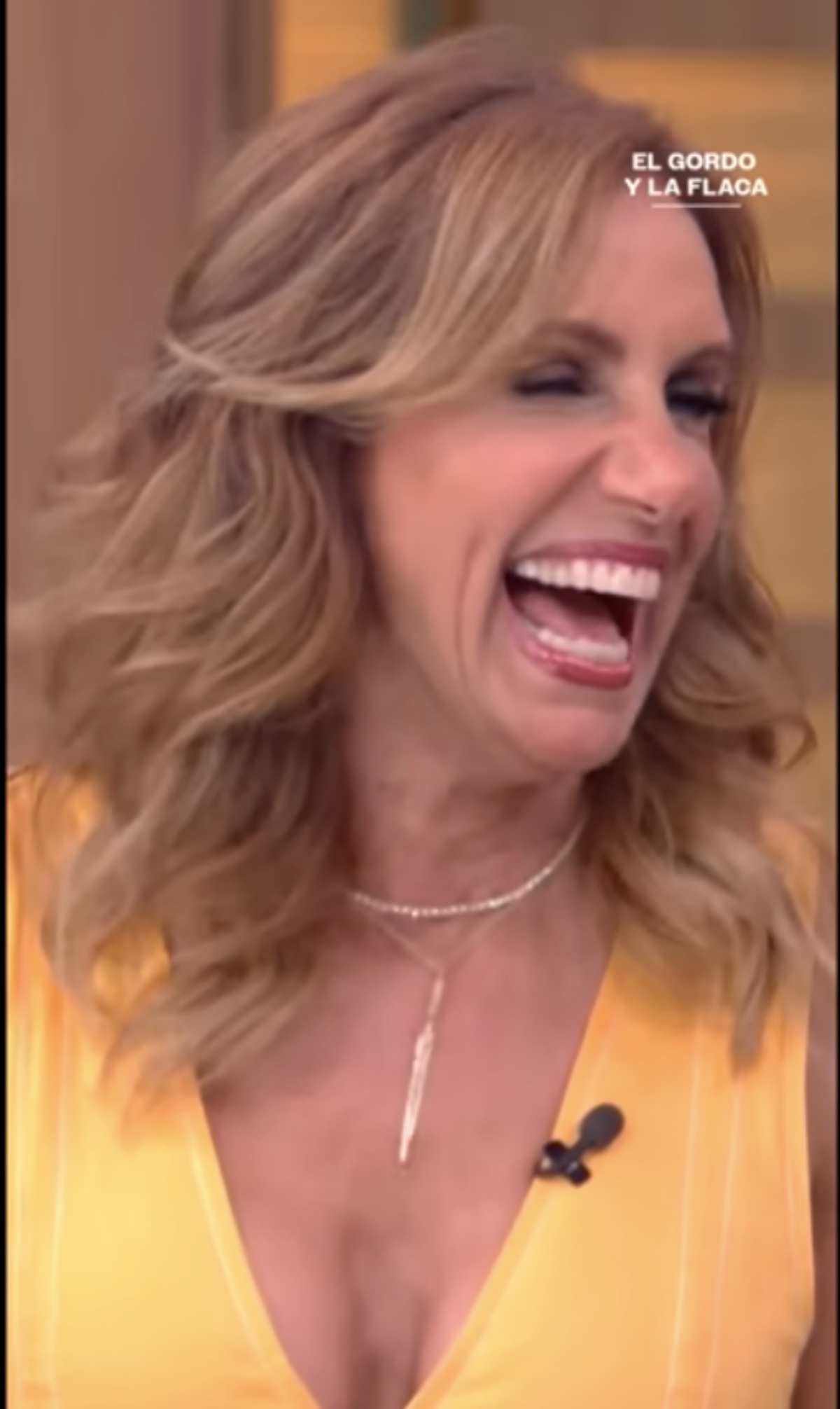 Lili Estefan and the arrival of a new baby girl