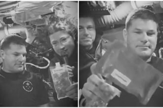 Comida misión Artemis II, comida Artemis II, Artemis II, QuéOnnda