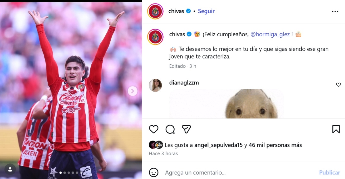 Liguilla Liga MX 2026, Chivas