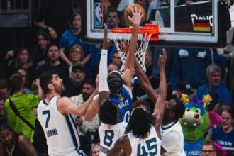 Orlando Magic Hornets