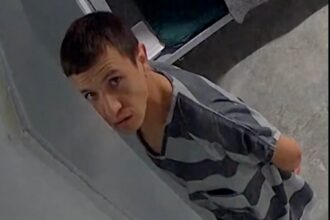 Brayan Rayo Garzón, migrant dies in ICE custody, Colombian migrant, ICE suicide, QuéOnnda