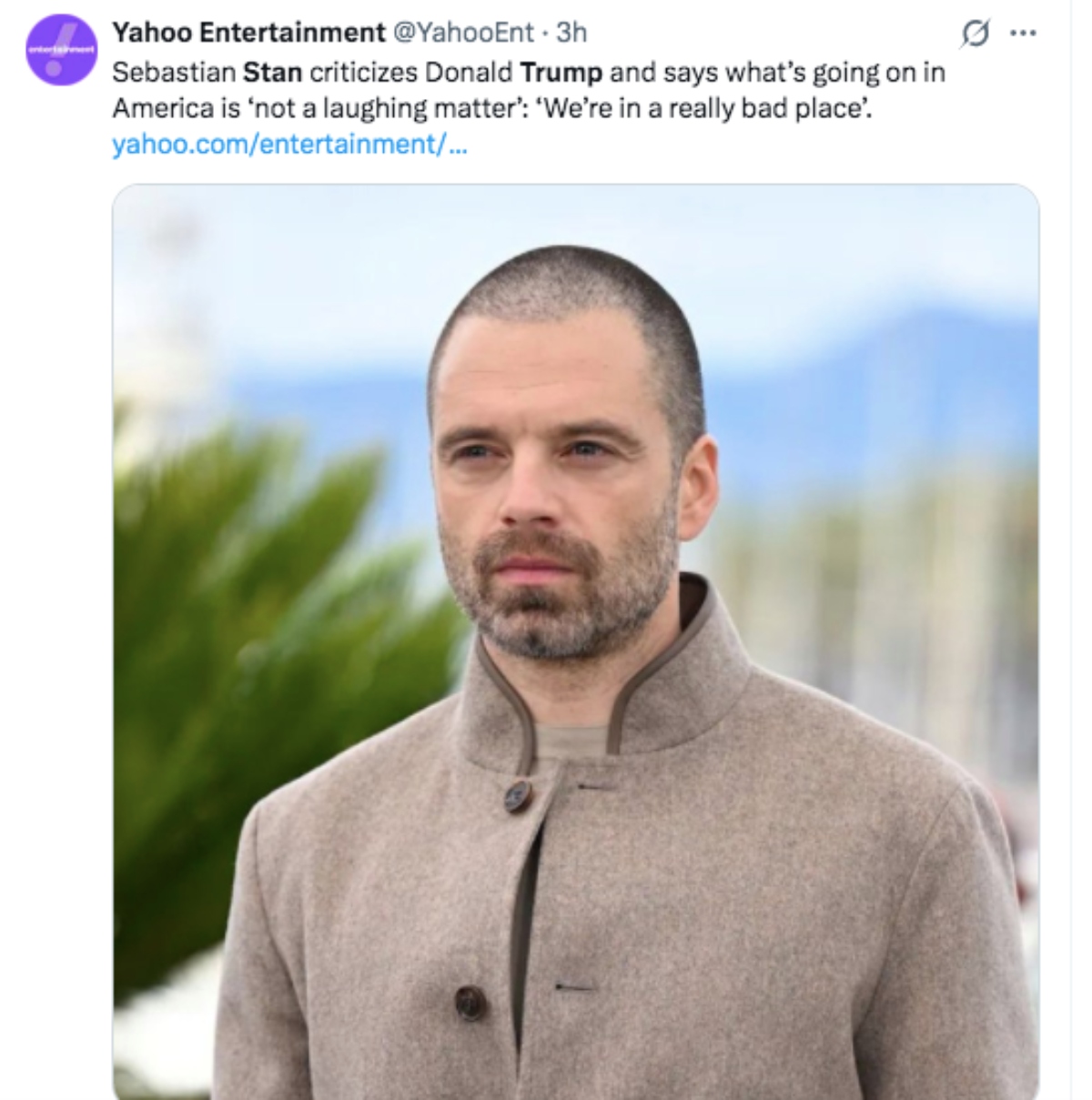 Sebastian Stan lashes out at Trump over situation in the U.S.