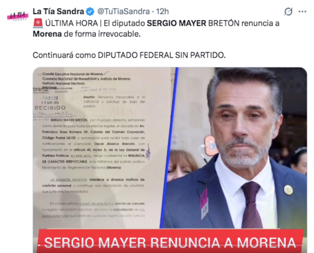 Sergio Mayer resigns as a member of the Morena party