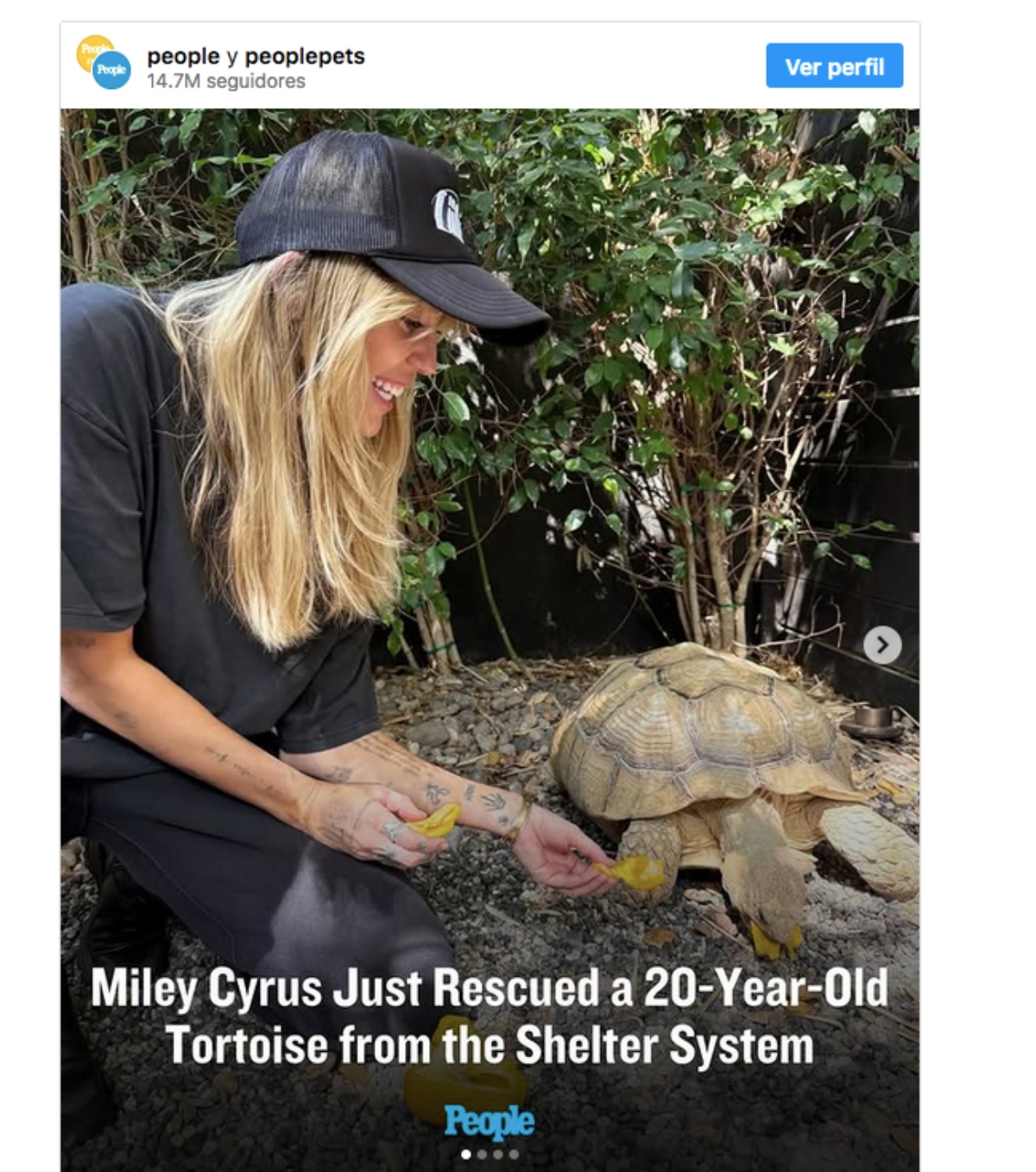 Miley Cyrus adopta una tortuga de 20 años