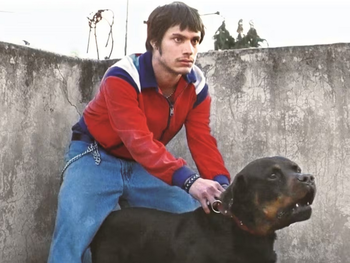 Amores Perros' now to be made into a TV series