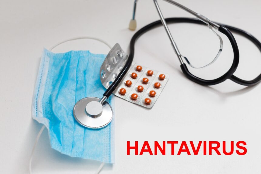 Hantavirus vs Covid, Hantavirus, Covid, pandemia, QuéOnnda