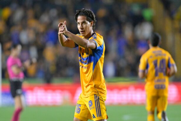 Diego Lainez, Selección Mexicana prelista Mundial