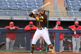 Fernando Tatis Jr. MLB